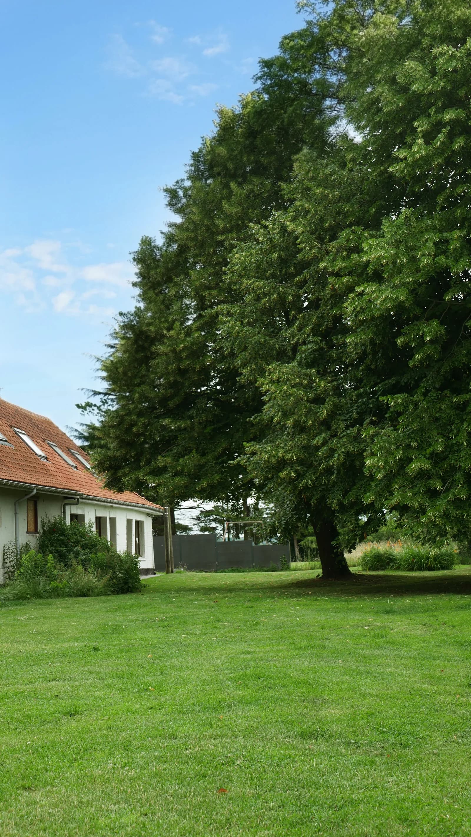 Grand arbre et pelouse devant les gîtes